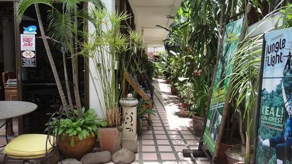 The Red Hibicus Guest House Chiang Mai Dış mekan fotoğraf