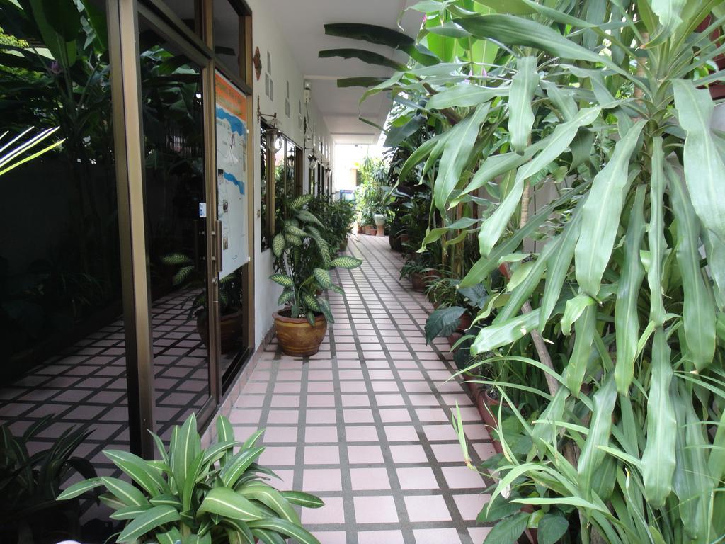 The Red Hibicus Guest House Chiang Mai Dış mekan fotoğraf
